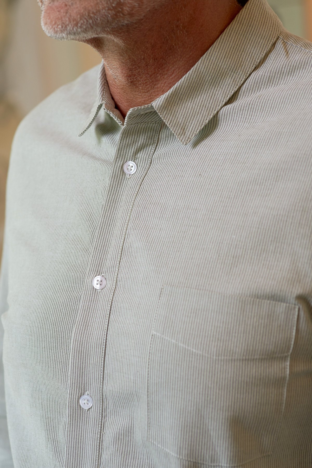 About-Companions-Hemd-Simon-Eco-Oxford-Striped-Green